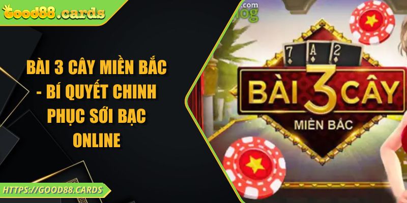 Bài 3 Cây Miền Bắc - Bí Quyết Chinh Phục Sới Bạc Online 1 Bài 3 Cây Miền Bắc - Bí Quyết Chinh Phục Sới Bạc Online