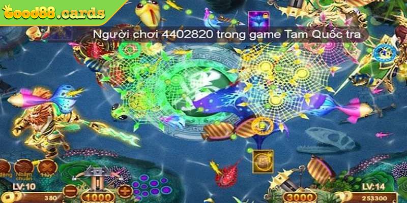 Mẹo cược hay và hiệu quả cho anh em 